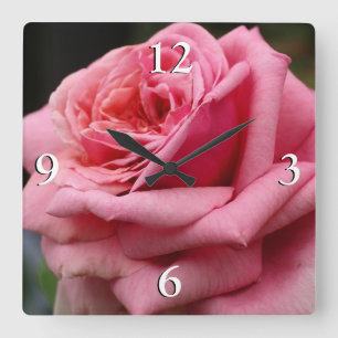 Roze Rose I  Floral fotografie Vierkante Klok