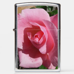 Roze Rose III Tuin Bloemen