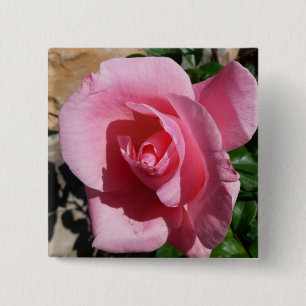 Roze Rose III Tuin Bloemen Vierkante Button 5,1 Cm