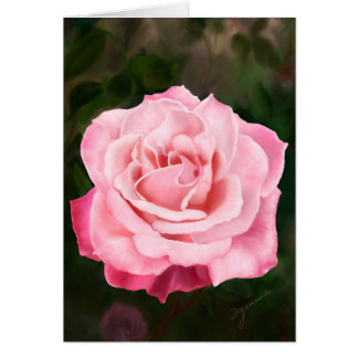 Roze Rose in het volste blok