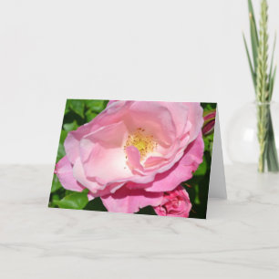 Roze Rose Kaart