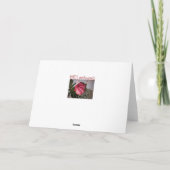 Roze Rose Kaart (Achterkant)
