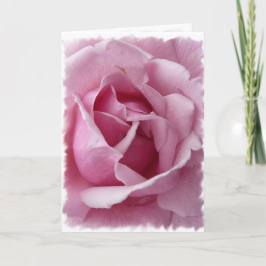 Roze Rose Kaart (Voorkant)