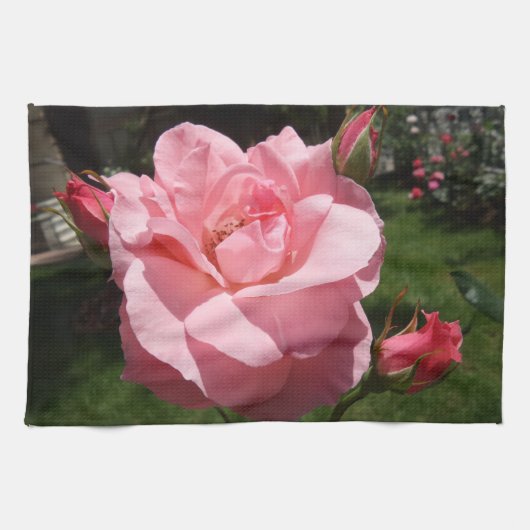 Roze Rose Kitchen Towels Theedoek (Horizontaal)