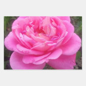 Roze Rose "Leonardo Da Vinci" Inpakpapier Vel (Voorkant 2)