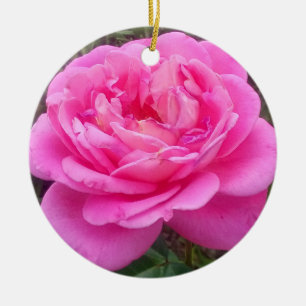 Roze Rose "Leonardo Da Vinci" Keramisch Ornament