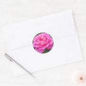 Roze Rose "Leonardo Da Vinci" Ronde Sticker (Envelop)