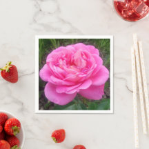 Roze Rose "Leonardo Da Vinci"