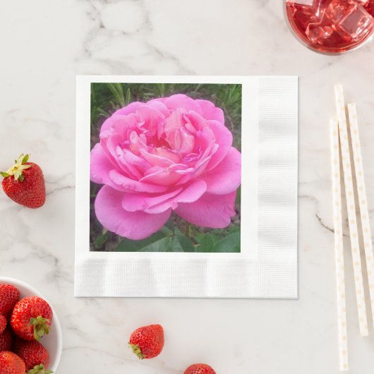 Roze Rose "Leonardo Da Vinci" Servet (Insitu)