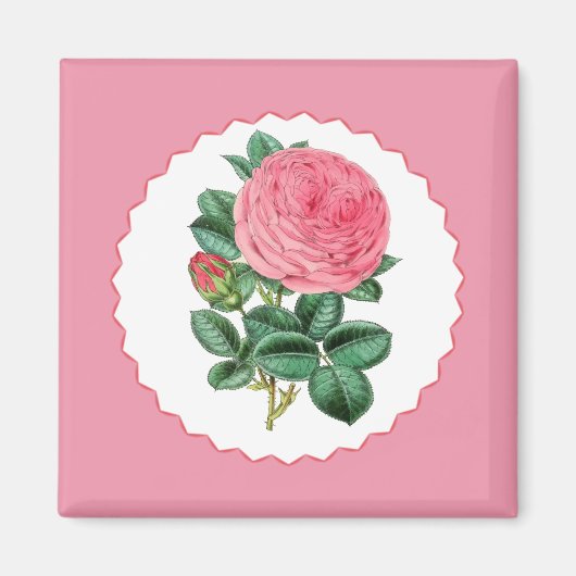 Roze Rose Magneet (Voorkant)