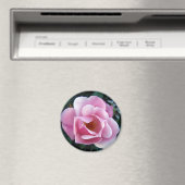 Roze Rose Magneet (Insitu (Vaatwasser))
