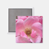Roze Rose Magneet (Voorkant / Achterkant)