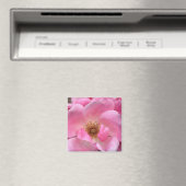 Roze Rose Magneet (Insitu (Vaatwasser))