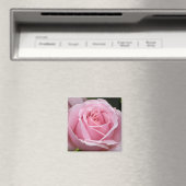 Roze Rose Magnet Magneet (Insitu (Vaatwasser))