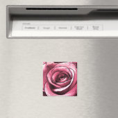 Roze Rose Magnet Magneet (Insitu (Vaatwasser))