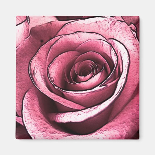 Roze Rose Magnet Magneet (Voorkant)