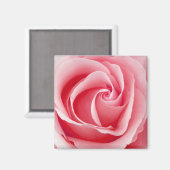 Roze Rose Magnet - Square Magneet (Voorkant / Achterkant)