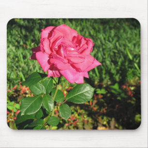 Roze Rose mousepad Muismat