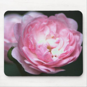 Roze Rose Mousepad! Muismat