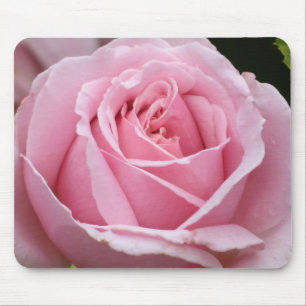 Roze Rose Mousepad Muismat