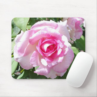 Roze Rose Mousepad Muismat