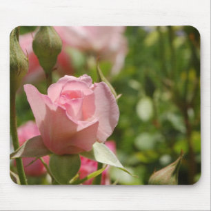 Roze Rose Muismat