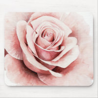 Roze Rose