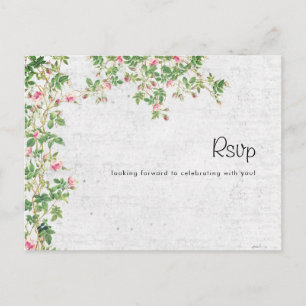 Roze Rose Oude Muur  Stijl Dagboek Trouwen Briefkaart