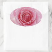 Roze Rose Ovale Sticker (Tas)