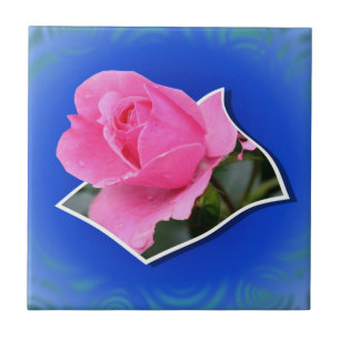 Roze Rose Pop uit Floral Art Tile Tegeltje