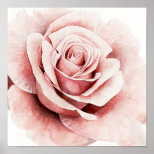 Roze Rose Poster