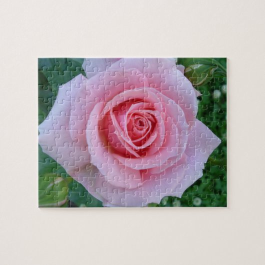 Roze Rose Puzzle Legpuzzel (Horizontaal)