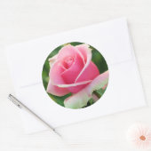 Roze Rose Ronde Sticker (Envelop)
