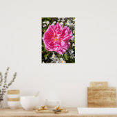Roze Rose Rozen David Austin Flower Garden Poster (Keuken)