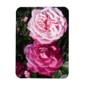 Roze Rose rozen foto Birthday Magnet Magneet (Verticaal)