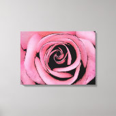Roze Rose schets ontwerp Canvas Afdruk (Voorkant)