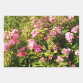Roze Rose Secret Garden Inpakpapier Vel (Voorkant)