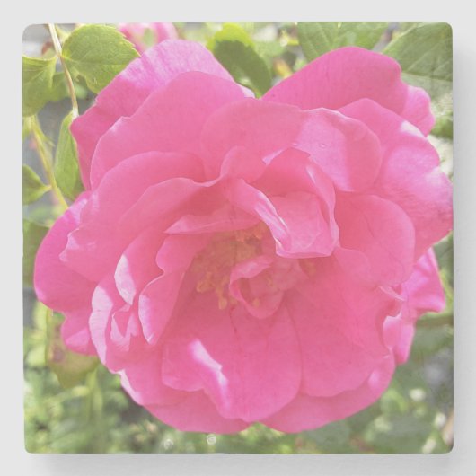 Roze Rose Stenen Onderzetter (Voorkant)