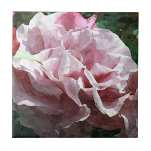 Roze Rose Tegeltje