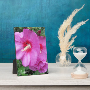 Roze Rose van Sharon Floral Monogram fotografie Fotoplaat