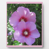 Roze Rose van Sharon Foto Fotoplaat (Voorkant)