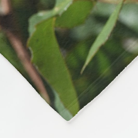 Roze Rose Zachte Deken (Hoek)