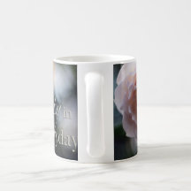 Roze Rose - Zoek de schoonheid in de dagelijkse Mo