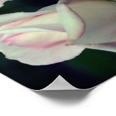 Roze Rosebud Flower Abstract Poster (Hoek)