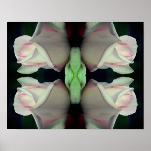 Roze Rosebud Flower Abstract Poster