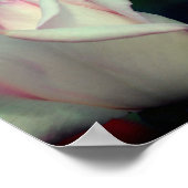 Roze Rosebud Flower Mirror Abstract Poster (Hoek)