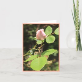 Roze Rosebud Portrait Note Kaart