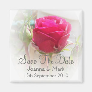 Roze Rosebud sparen de Datum Magnet Magneet