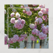 Roze Roses Birthday Kaart (Voorkant / Achterkant)