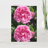 Roze roze bloem  Rozen Kaart (Achterkant)